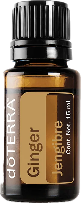 Jengibre 15 mL, foto del producto con etiqueta en español